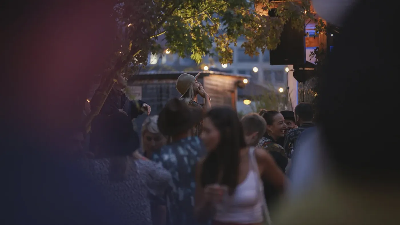 Evening crowd at Heal Play Love festival